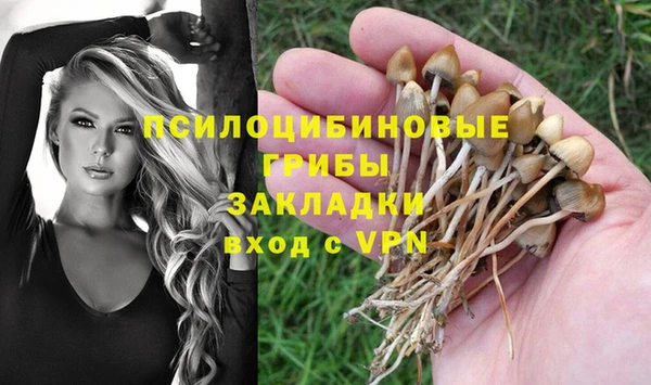 а пвп мука Алзамай