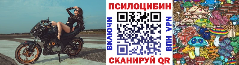 Галлюциногенные грибы Psilocybe  это наркотические препараты  Нестеров 